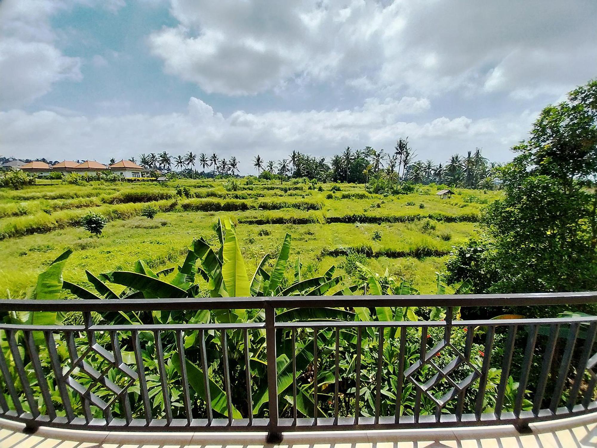 Puri Prana Guest House Ubud Exterior foto